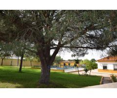 Chalet con casa de invitados, El Rincón.