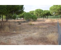 PARCELA DE 500 M2 EN LA MONACILLA