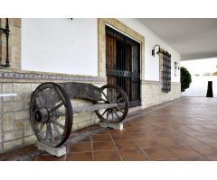 ALSOL VENDE Exclusivo chalet independiente con piscina en parcela de 3.000 m²