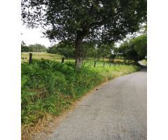 Se venden varias fincas en O incio, Lugo.