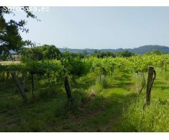 En venta Gran Casa Solariega en Vedra.