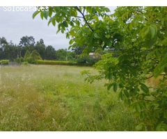 En venta Gran finca urbana