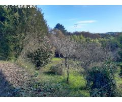 En venta gran casa con finca en Pontedeume.