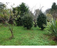 En venta gran casa con finca en Pontedeume.