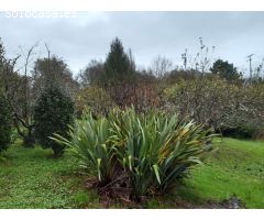 En venta gran casa con finca en Pontedeume.