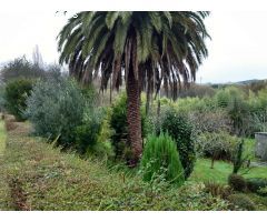 En venta gran casa con finca en Pontedeume.