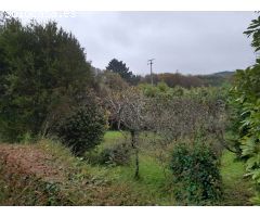 En venta gran casa con finca en Pontedeume.