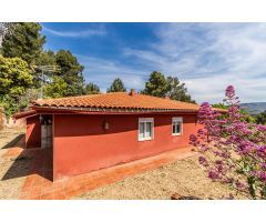 CASA TODO EN PLANTA BAJA CON JARDÍN!!