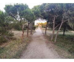BONITO APARTAMENTO EN GUARDAMAR DEL SEGURA A 500 METROS DEL MAR
