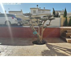 CHALET EN  MONFORTE DEL CID