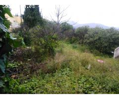 POLOP DE LA MARINA PARCELA URBANA