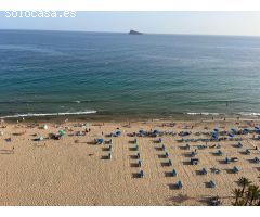 BENIDORM PRIMERA LINEA