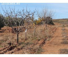 CORTIJO CON FINCA