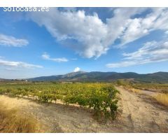 Finca rustica en Venta en Laujar de Andarax, Almería