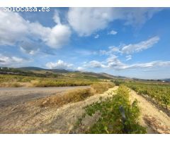 Finca rustica en Venta en Laujar de Andarax, Almería