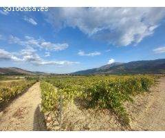 Finca rustica en Venta en Laujar de Andarax, Almería