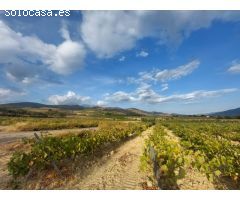 Finca rustica en Venta en Laujar de Andarax, Almería