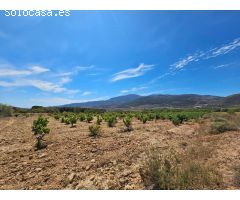 FINCA EN LLANO DE LAUJAR DE ANDARAX