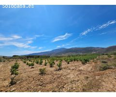 FINCA EN LLANO DE LAUJAR DE ANDARAX