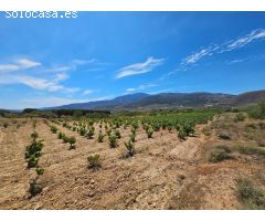 FINCA EN LLANO DE LAUJAR DE ANDARAX