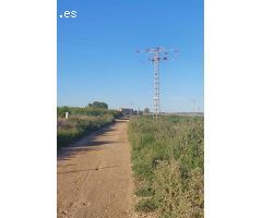 Terreno rústico de plantación en Los Montesinos