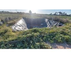 Terreno rústico de plantación en Los Montesinos