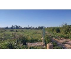 Terreno rústico de plantación en Los Montesinos
