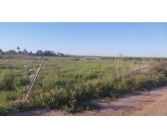 Terreno rústico de plantación en Los Montesinos