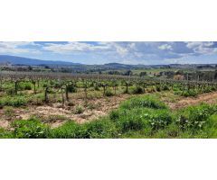 TERRENO URBANIZABLE EN SANT JOAN DE SAMORA