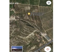 Finca rustica en Venta en Algorfa, Alicante