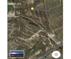 Finca rustica en Venta en Algorfa, Alicante