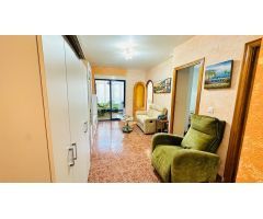 Tu oasis mediterráneo te espera en el corazón de Torrevieja