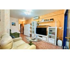 Tu oasis mediterráneo te espera en el corazón de Torrevieja