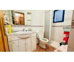 Tu oasis mediterráneo te espera en el corazón de Torrevieja