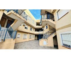 Tu oasis mediterráneo te espera en el corazón de Torrevieja