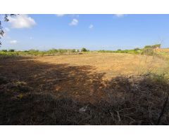 Terreno Rústico en Venta en Alcanar, Tarragona