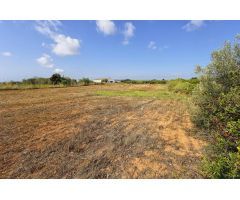 Terreno Rústico en Venta en Alcanar, Tarragona