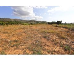 Terreno Rústico en Venta en Alcanar, Tarragona