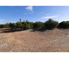 Finca rústica de Clemenules