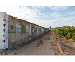 Almacen agricola de 1904 m2 y terreno de 3917 m2. A tan solo 2 km del centro!