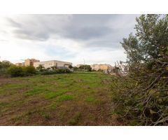 Finca rustica de 1178 m2. Ideal para huerto. Al lado del pueblo!