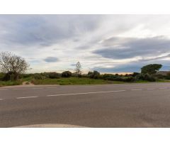 Finca rustica de 1178 m2. Ideal para huerto. Al lado del pueblo!