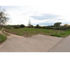 Finca rustica de 1178 m2. Ideal para huerto. Al lado del pueblo!