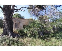Finca con casa para rehabilitar en les Calafes