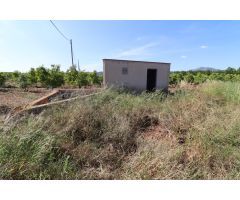 Finca yerma en la Martorella