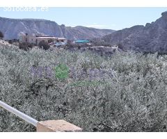 Cortijo en Venta en Gádor, Almería