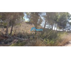 Finca rústica de 14.428 m2 a la venta en Callosa dEn Sarrià