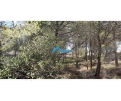 Finca rústica de 14.428 m2 a la venta en Callosa dEn Sarrià