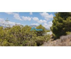 Finca rústica de 14.428 m2 a la venta en Callosa dEn Sarrià