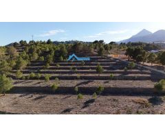 Finca rústica con proyecto y licencia de construcción en La Nucia